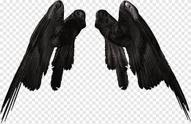 We take pride in helping you look and feel good. Devil Wing Png Images Pngegg