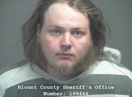 JOHNSTONE, COLLIN MARSHALL Charges: ARREST WARRANT This information and  more is available https://apps.myocv.com/share/a95737804 Blount County  Sheriff's Number: 199466 Office