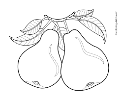 Top 10 pear coloring pages for kids. Pear Fruit Coloring Pages Coloring Home