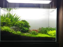My Glass Nature Box My Glass Glass Nature