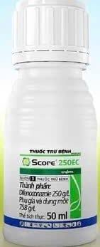 Score® 250EC