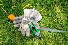 Pin On Gardening