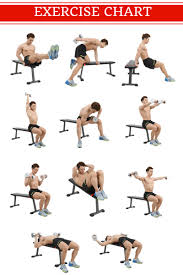 Weight Lifting Exercises Online Charts Collection