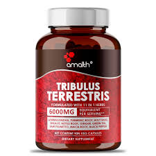 Image result for Tribulus terrestris