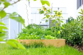 Pin Auf Paper Crafts