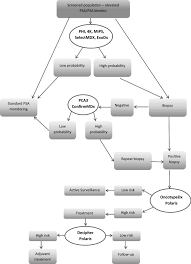 The percent probability of finding prostate cancer on a needle biopsy by age in years: Prostate Cancer And The Role Of Biomarkers Springerlink