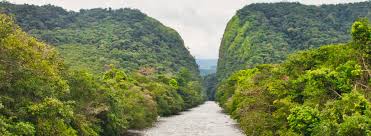 Image result for Afroqueta