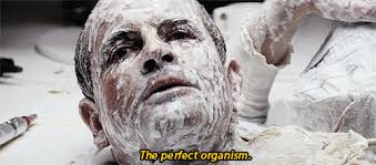 Ash's parting words to Ripley were that the surviving crew should try to  communicate with the Alien. Do you think he knew something about the xenos,  or was he just messing with them?