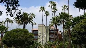 At the time of its release, the eagles were riding high in the music world, experiencing material. Brunei Hotel Boycott Gathers Steam As Anti Gay Law Goes Into Effect The New York Times