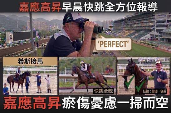 希斯全程監察「嘉應高昇  賽馬貼士