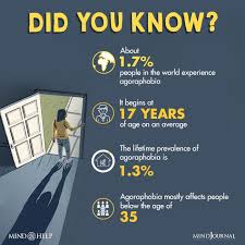 Image result for Agoraphobic Avoidance