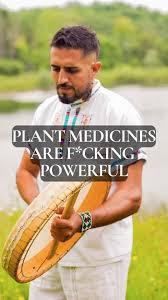 Image result for Solanecio mannii