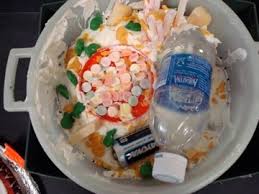 Maybe you would like to learn more about one of these? Household Objects Science Biology Cells Project Plant Cell Project