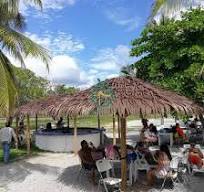 Best Artificial Palm Thatch For Palapa Roof Replacement ...