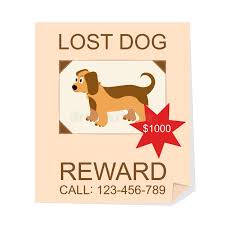 A missing cat poster template composes for searching of your loved cat which is lost suddenly from your house. Lost Pet Stock Illustrations 624 Lost Pet Stock Illustrations Vectors Clipart Dreamstime