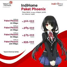 Indi Homes Pocket Phoenix Meme Template | TikTok