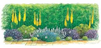 Schmale Beete Effektvoll Bepflanzen Schmaler Garten Pflanzenbeet Und Blumenbeet Anlegen