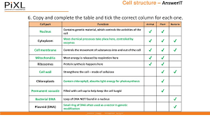 The table summarises the functions of these parts Cell Structure Answerit Ppt Download