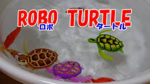 ロボ タートルを買ってきた。I bought a Robo turtle - YouTube