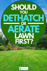 If the thatch layer exceeds ½ inch in thickness, then you need to dethatch your lawn. Should You Dethatch Or Aerate A Lawn First Garden Tabs