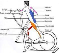 Finally The Benefits Of Elliptical Machines Explained Simply So You Know Whether It S The Best Option Elliptical Benefits Elliptical Workout Eliptical Workout