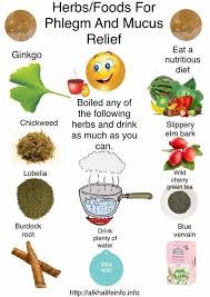 Dr Sebi Mucus Is The Cause Of Every Disease The Best Ways To Get Rid Of Phlegm After Eating Holistic Health Remedies Health Remedies Dr Sebi Alkaline Food