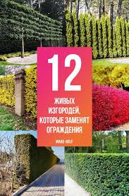 как сделать свой дом и сад красивым много идей 12 Zhivyh Zaborov Kotorye Stanut Horoshej Alternativoj Bezdushnym Konstrukciyam Sadovye Idei Cvetnik Plan Ozelenenie Nebolshogo Dvora