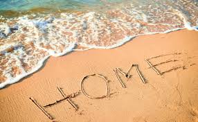 Termites are active contributors to the environment because they have been around for millions of years father & son pest control can help you whenever you have pest problems, especially with termites. Myrtle Beach Pest Control Companies