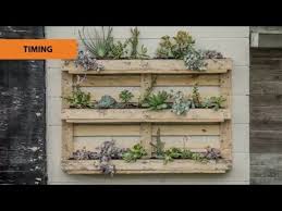 Use a staple gun to staple the fabric in place on the backside of the pallet. How To Create A Pallet Garden Mitre 10 Easy As Garden Youtube