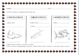 Resultado De Imagen De Ficha Animales Herbivoros Carnivoros Y Omnivoros Para Colorear How To Plan