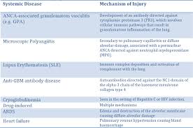 Alveolar Hemorrhage Syndromes Diffuse Alveolar Hemorrhage