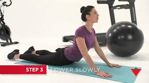 How To Do A Cobra Stretch 4 Steps Youtube