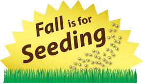 For new lawns and also in case of overseeding, you must maintain a regular watering schedule, ensuring that the soil only gets 1inch of water every few days. How To Fall 7 Steps For Fall Overseeding Fall Fertilizing