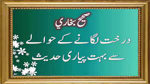 Explore plantation quotes by authors including katie lee, harriet ann jacobs, and b. Trees For Charity Best Tree Planting Charity Hadith Collection Youtube
