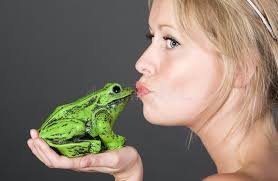 La Bella Dueña Rubia Examina a Su Mascota Peruana La Pone En La Mesa  Delante De Ella. Mascotas Sanas. Momentos Felices. Imagen de archivo