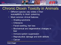 Includes key facts, definition, sources, contamination incidents, control, reduction of risk, who response. Cloak Dagger Cloak And Dagger Assassination Through Poisoning Ppt Download