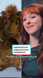 Qual nome você acha mais bonito? #porquinhodaindia #guineapigs  #animaisexoticos🐴🐮🐬