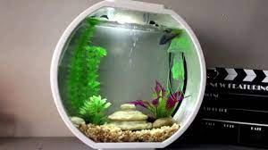 Desain rumah unik.saat ini mungkin berisi banyak video tentang hiasan aquarium dari barang bekas.kalau anda mencari tentang hiasan aquarium dari barang bekaskamu sudah benar berada di sini.kami memiliki 29 foto tentang hiasan aquarium dari barang bekas termasuk banyak foto, wallpapers, images, pictures, dan lainnya yang bersumber dari internet. 5 Langkah Membuat Akuarium Mini Yang Unik Bukareview