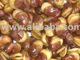 Broad beans are part of the legume family and grow very quickly. Broad Beans Products Malaysia Broad Beans Supplier