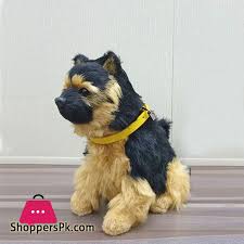 Also, failure to show this. Buy Little Alive German Shepherd Dog At Best Price In Pakistan