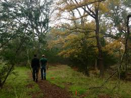 Walk, bike, hike, and play through our spectacular parks, gardens, and outdoor spaces. Bulverde Oaks Nature Preserve A Little Island On The Northside