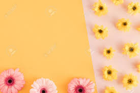 Pink flowers paper pink flowers rose, hand painted floral pink flowers decorative background, pink petaled flowers illustration, watercolor paper confetti party, cartoon happy birthday confetti, white background with purple, green, and yellow confetti, cartoon character, atmosphere png. Flowers Composition Oh Pastel Pink And Yellow Background With Spring And Summer Flowers Easter Concept With Copy Spase Flat Lay Top View Stock Photo Picture And Royalty Free Image Image 118139396