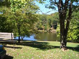 Maybe you would like to learn more about one of these? Tomlinson Run State Park Wikipedia