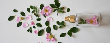 Außerdem er hat den vorteil, dass er schnell in die holzstäbchen eindringt. Raumduft Selber Machen Mit Diesen Diy Anleitungen Gelingt Es