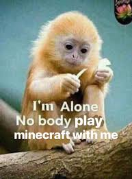 Pin By Nox On Funnies Cute Memes Haha Funny Im Alone