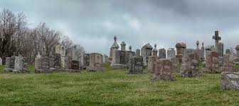 Maybe you would like to learn more about one of these? Cemetery Panorama A Little Tour In Yellow