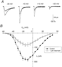 Image result for Mibefradil