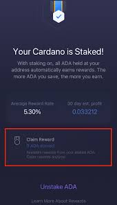 Liam goes over the risks of staking. Cardano Staking Faq Exodus Support