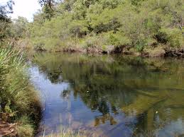 Aquatic And Riparian Vegetation