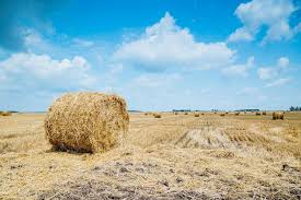 Fardos De Palha Em Terras Agricolas Com Ceu Azul Nublado Foto Premium